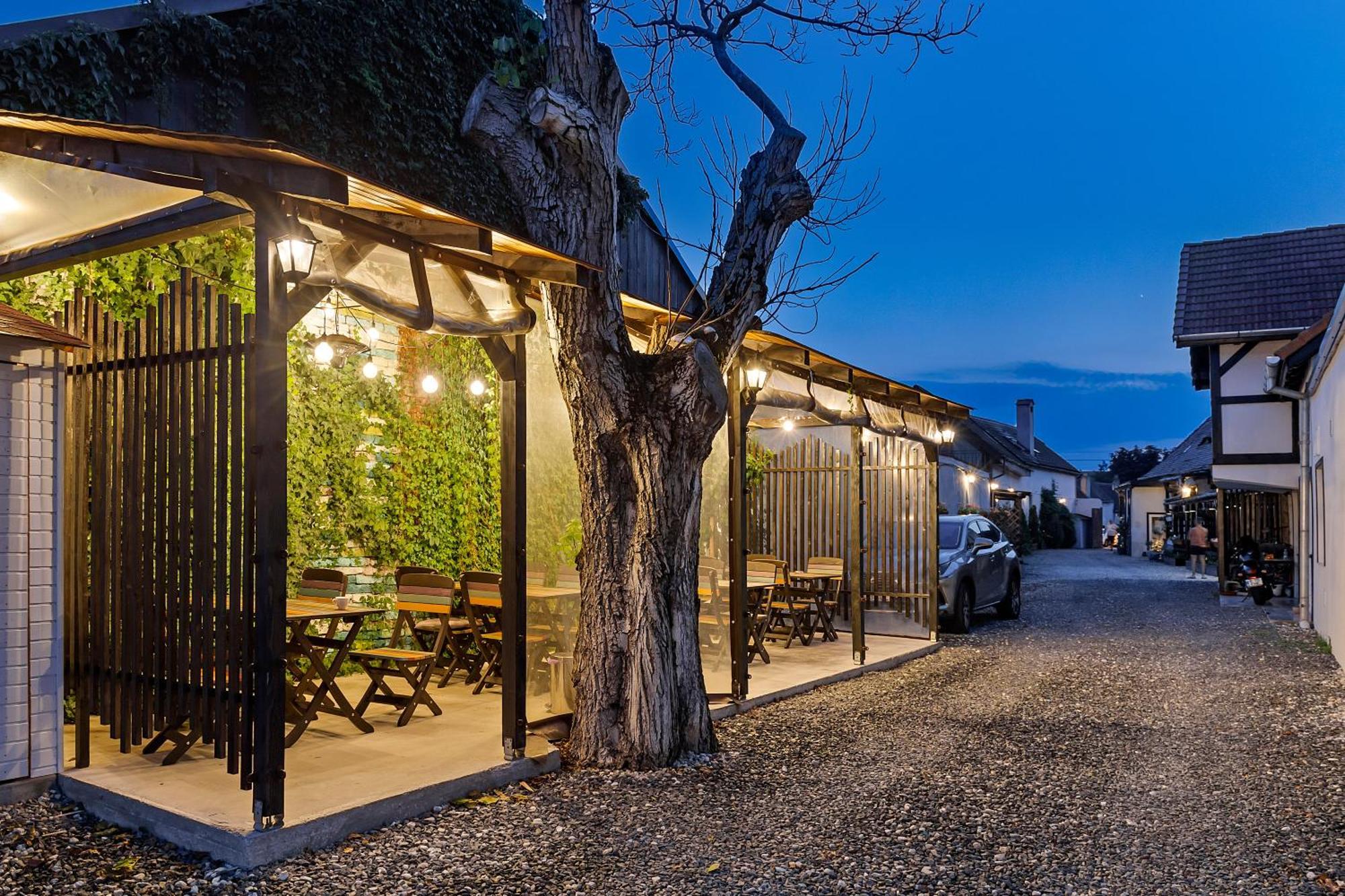 Pensiunea Alina "Adults Only" Sibiu Exterior photo