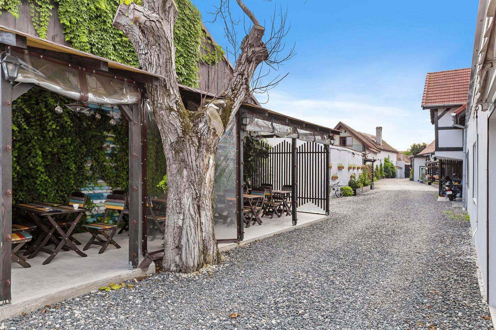 Pensiunea Alina "Adults Only" Sibiu Exterior photo