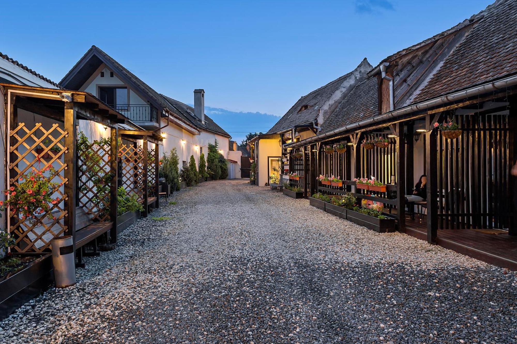 Pensiunea Alina "Adults Only" Sibiu Exterior photo